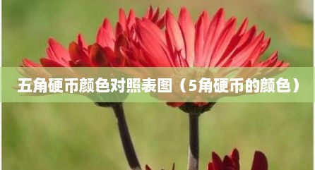 五角硬币颜色对照表图（5角硬币的颜色）