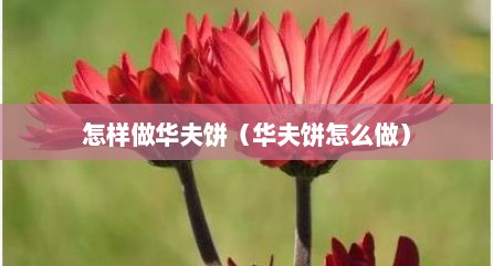怎样做华夫饼（华夫饼怎么做）