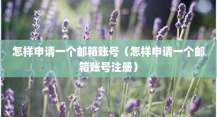 怎样申请一个邮箱账号（怎样申请一个邮箱账号注册）