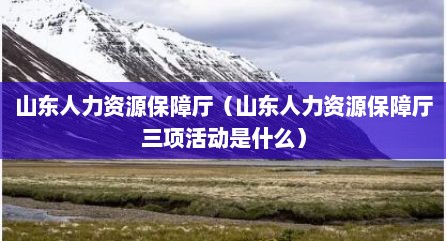 山东人力资源保障厅（山东人力资源保障厅三项活动是什么）