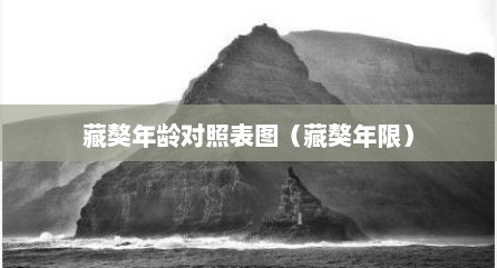 藏獒年龄对照表图（藏獒年限）