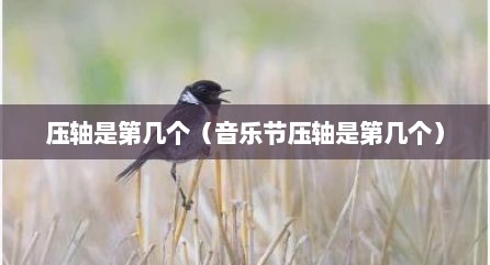 压轴是第几个（音乐节压轴是第几个）