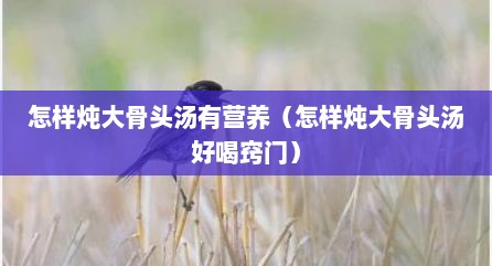 怎样炖大骨头汤有营养（怎样炖大骨头汤好喝窍门）