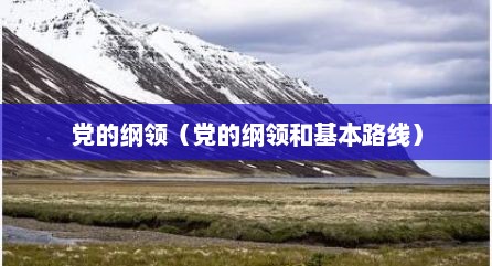 党的纲领（党的纲领和基本路线）