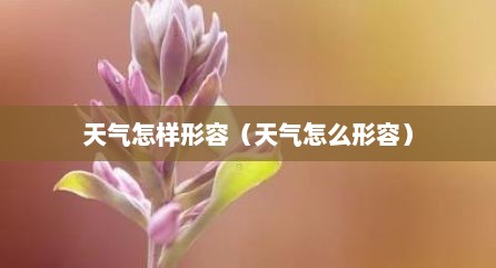 天气怎样形容（天气怎么形容）