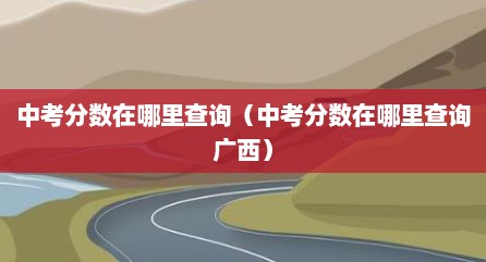 中考分数在哪里查询（中考分数在哪里查询广西）