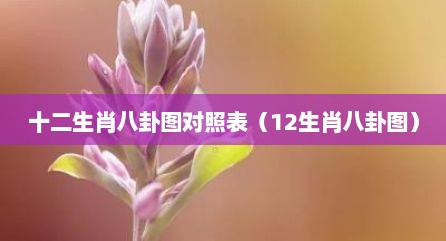 十二生肖八卦图对照表（12生肖八卦图）