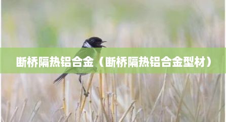 断桥隔热铝合金（断桥隔热铝合金型材）