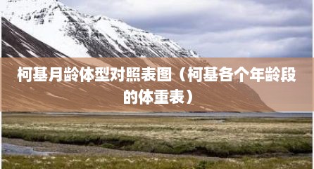 柯基月龄体型对照表图（柯基各个年龄段的体重表）