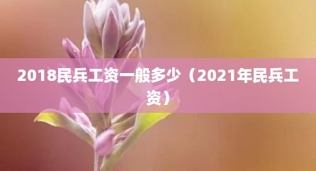 2018民兵工资一般多少（2021年民兵工资）