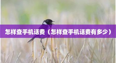 怎样查手机话费（怎样查手机话费有多少）