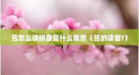 笃怎么读拼音是什么意思（笃的读音?）