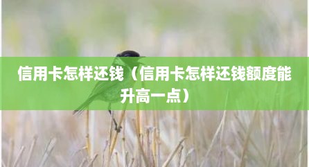 信用卡怎样还钱（信用卡怎样还钱额度能升高一点）