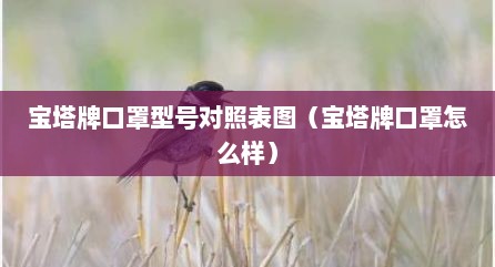 宝塔牌口罩型号对照表图（宝塔牌口罩怎么样）
