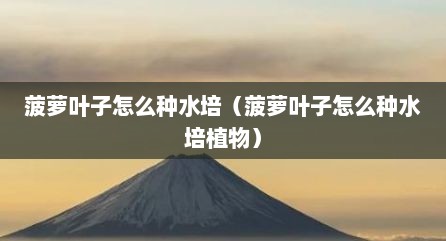 菠萝叶子怎么种水培（菠萝叶子怎么种水培植物）