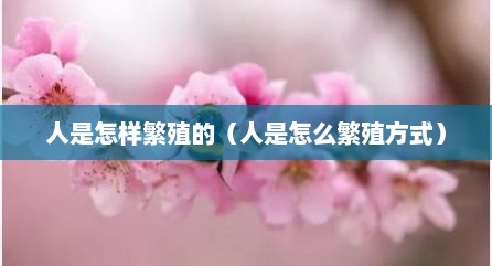 人是怎样繁殖的（人是怎么繁殖方式）