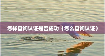 怎样查询认证是否成功（怎么查询认证）