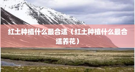 红土种植什么最合适（红土种植什么最合适养花）