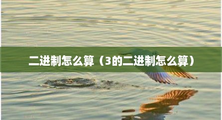 二进制怎么算（3的二进制怎么算）