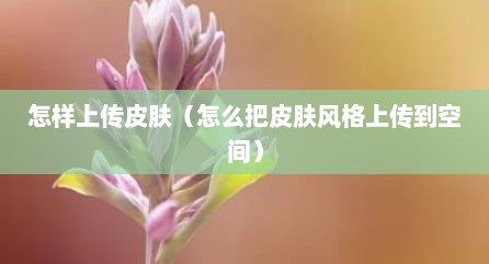 怎样上传皮肤（怎么把皮肤风格上传到空间）