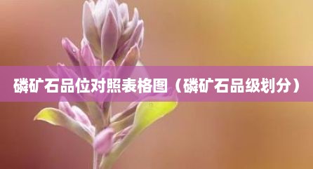 磷矿石品位对照表格图（磷矿石品级划分）