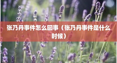 张乃丹事件怎么回事（张乃丹事件是什么时候）