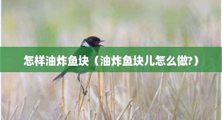 怎样油炸鱼块（油炸鱼块儿怎么做?）