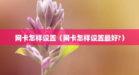网卡怎样设置（网卡怎样设置最好?）