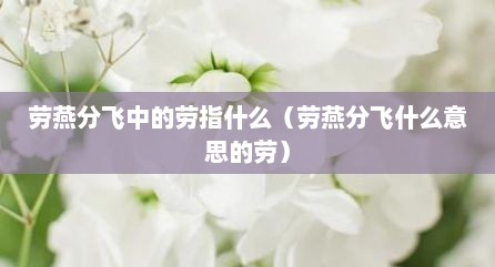 劳燕分飞中的劳指什么（劳燕分飞什么意思的劳）