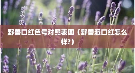 野兽口红色号对照表图（野兽派口红怎么样?）