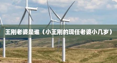 王刚老婆是谁（小王刚的现任老婆小几岁）