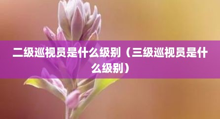 二级巡视员是什么级别（三级巡视员是什么级别）