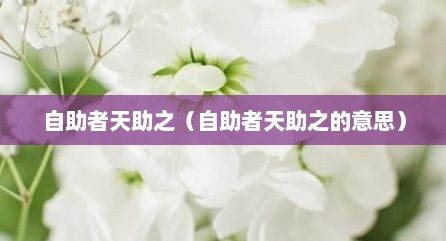自助者天助之（自助者天助之的意思）