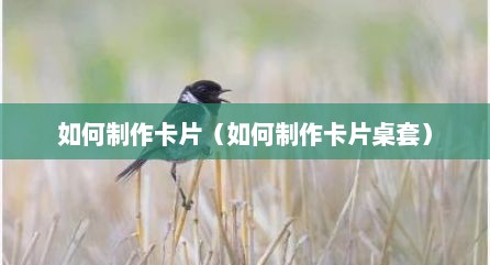 如何制作卡片（如何制作卡片桌套）