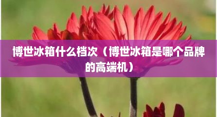 博世冰箱什么档次（博世冰箱是哪个品牌的高端机）
