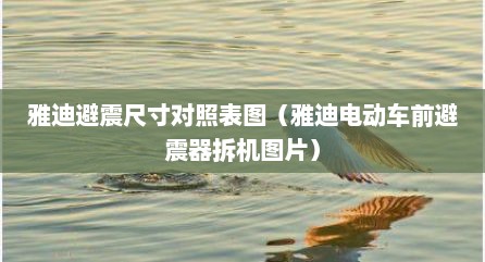 雅迪避震尺寸对照表图（雅迪电动车前避震器拆机图片）