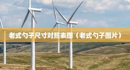 老式勺子尺寸对照表图（老式勺子图片）