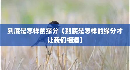 到底是怎样的缘分（到底是怎样的缘分才让我们相遇）