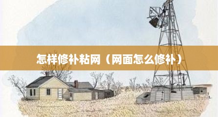 怎样修补粘网（网面怎么修补）
