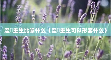 涅槃重生比喻什么（涅槃重生可以形容什么）
