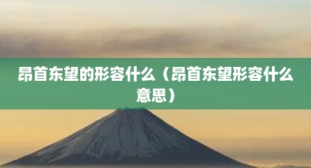 昂首东望的形容什么（昂首东望形容什么意思）