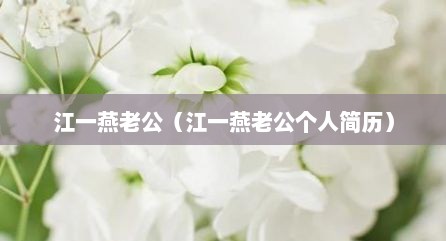 江一燕老公（江一燕老公个人简历）