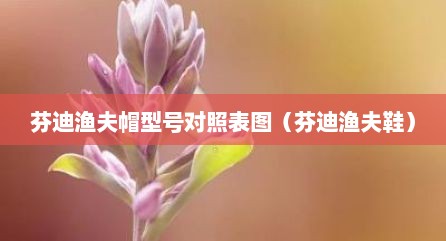 芬迪渔夫帽型号对照表图（芬迪渔夫鞋）