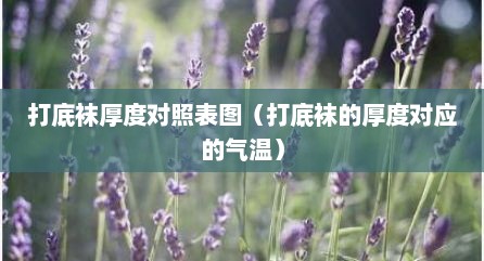 打底袜厚度对照表图（打底袜的厚度对应的气温）