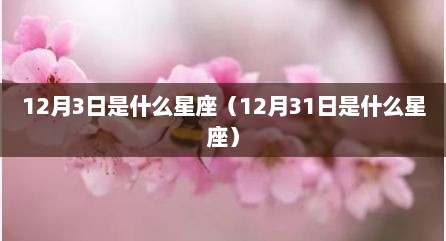 12月3日是什么星座（12月31日是什么星座）