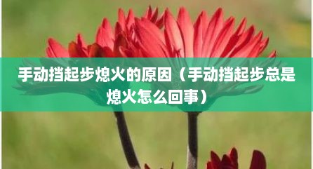 手动挡起步熄火的原因（手动挡起步总是熄火怎么回事）