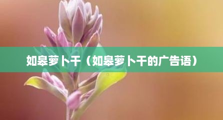 如皋萝卜干（如皋萝卜干的广告语）