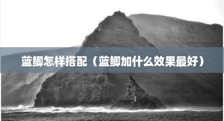 蓝鲫怎样搭配（蓝鲫加什么效果最好）