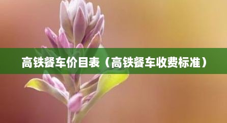 高铁餐车价目表（高铁餐车收费标准）