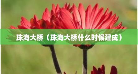 珠海大桥（珠海大桥什么时候建成）